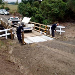 Hystop Cattle Stop