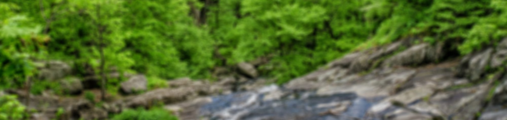 Our Low Carbon Future – HyndsLC® Range