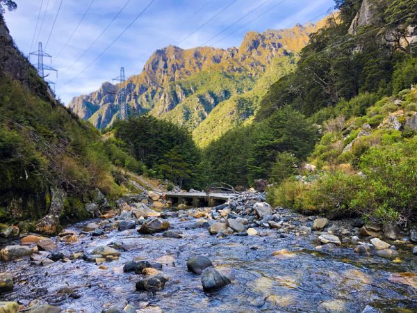 Driftdeck in its natural environment. Borland Pass, Fiordland National Park