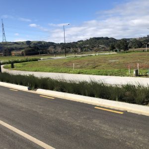 Rain Garden Retention - Drury Crossing Subdivision