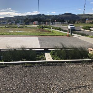 Drury Retention Rain Garden