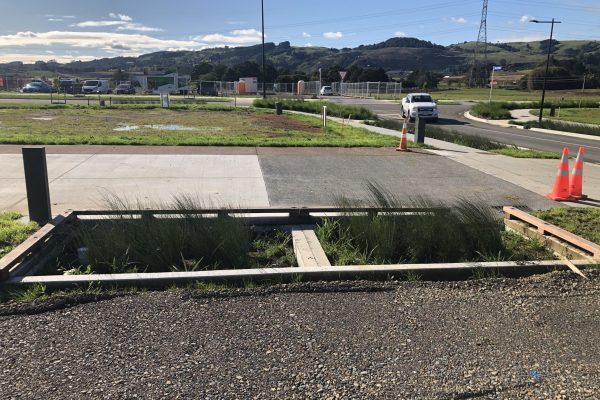 Drury Retention Rain Garden