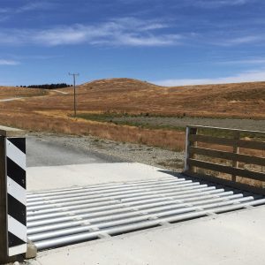 Hystop Cattle Stop