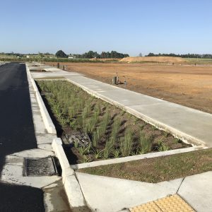 Rain Garden Surround Stormwater Product