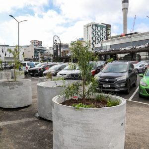Cityworks Auckland CBD Well Liner Garden Pots